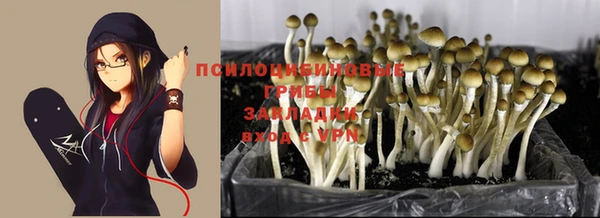кокаин колумбия Новодвинск