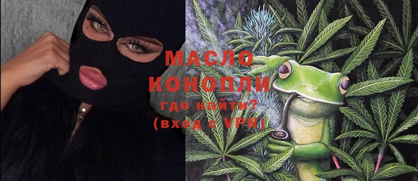 крисы Няндома
