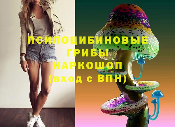 молекула духа Новокубанск