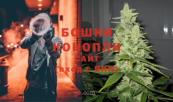 мяу мяу мука Новозыбков