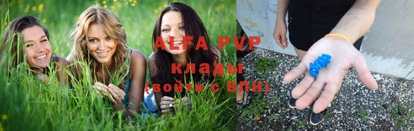 молекула духа Новокубанск