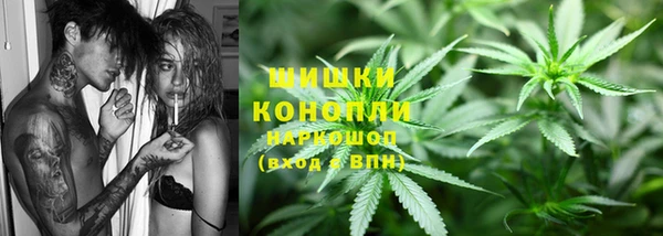 мяу мяу мука Новозыбков