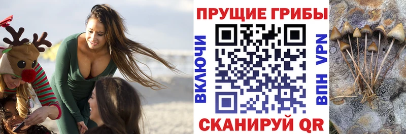 Псилоцибиновые грибы мицелий  Поронайск 